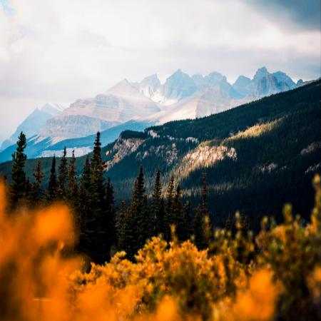 هایده ( ورژن هوش مصنوعی ) حواستون پرت شد