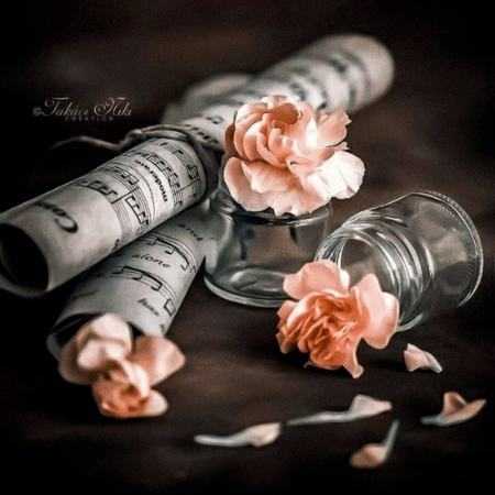 هایده ( ورژن هوش مصنوعی ) هیچکی باهام نیست