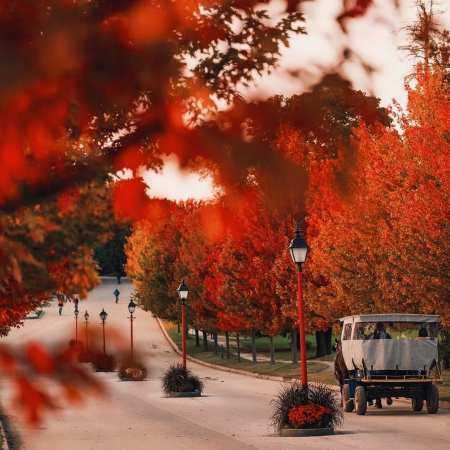 هایده ( ورژن هوش مصنوعی ) کمه فرصت دیدار تو این عالم مستی