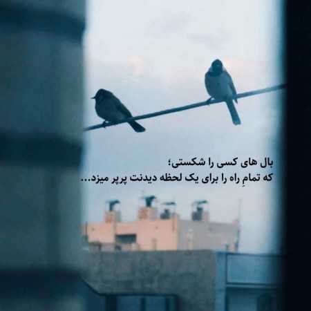 هایده ( ورژن هوش مصنوعی ) خاموش کن یا رب