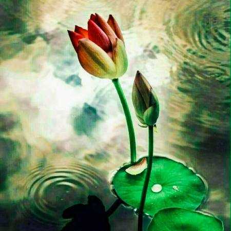 هایده ( ورژن هوش مصنوعی ) خوشی دووم نداره 