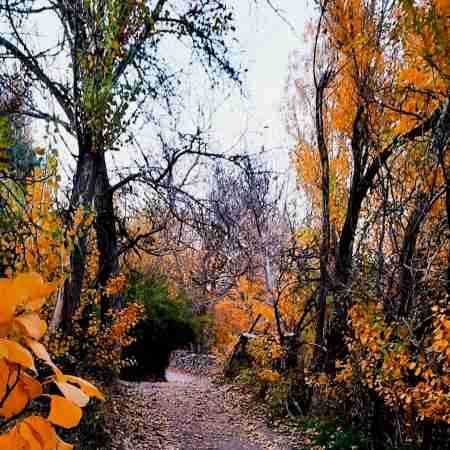 هایده ( ورژن هوش مصنوعی ) می دونـی قـلـبـم آروم نـداره