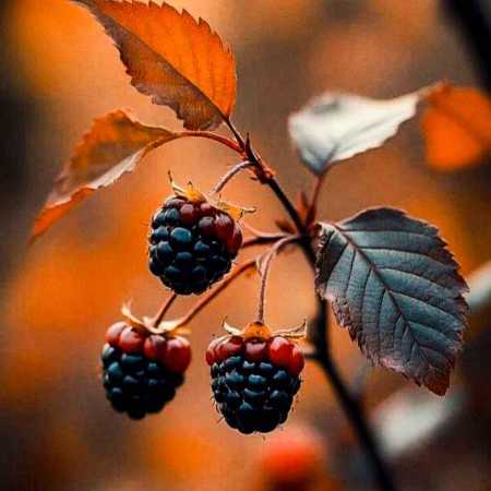 هایده ( ورژن هوش مصنوعی ) نه دانم که چه بودی