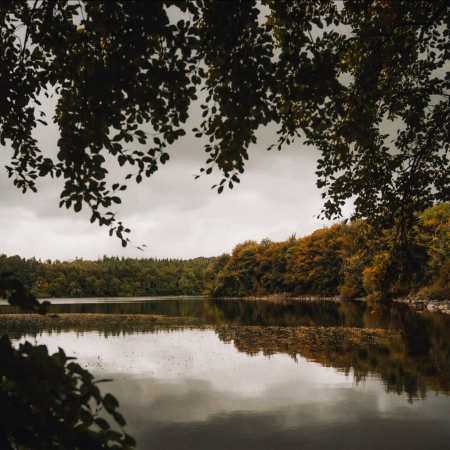 هایده ( ورژن هوش مصنوعی ) نارو