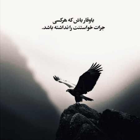 هایده ( ورژن هوش مصنوعی ) عمر دوباره منه