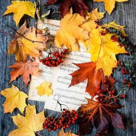 هایده ( ورژن هوش مصنوعی ) سفر کردی و چشمام