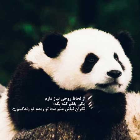 هایده ( ورژن هوش مصنوعی ) شانه هایت را