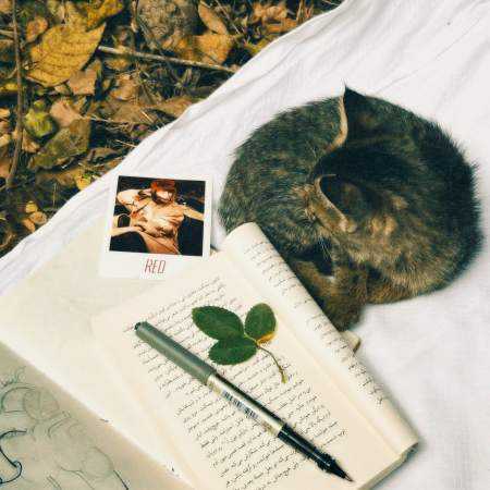 هایده ( ورژن هوش مصنوعی ) تو قلبت کی عزیزتر شده از من