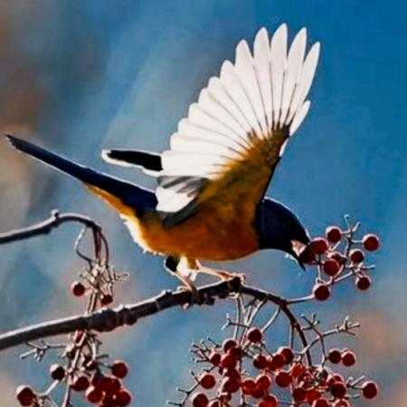 هنگامه ( ورژن هوش مصنوعی ) آماده نیستم واسه فردایی