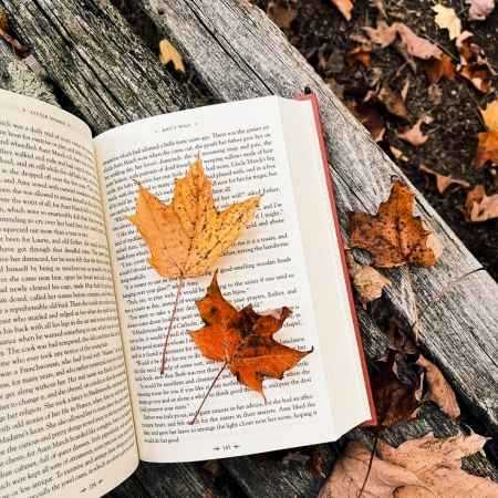 مهستی ( ورژن هوش مصنوعی ) خونه همیشه روشنه