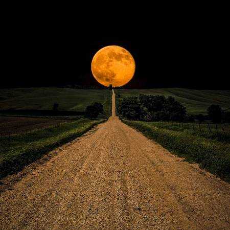 مرجان ( ورژن هوش مصنوعی ) باید از دور زمان دور باشم