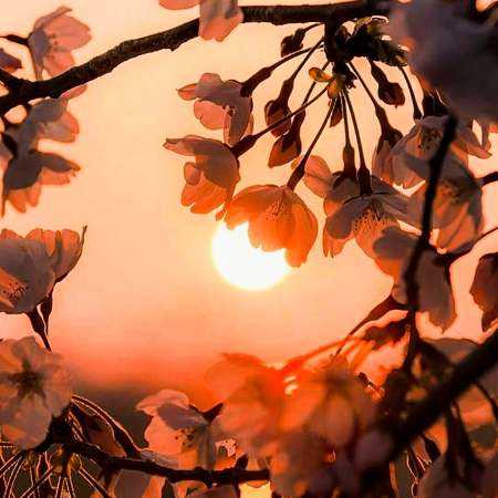 ناهید ( ورژن هوش مصنوعی ) امید فردا