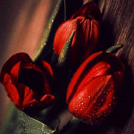 نوش آفرین ( ورژن هوش مصنوعی ) عطش عطش برای تو