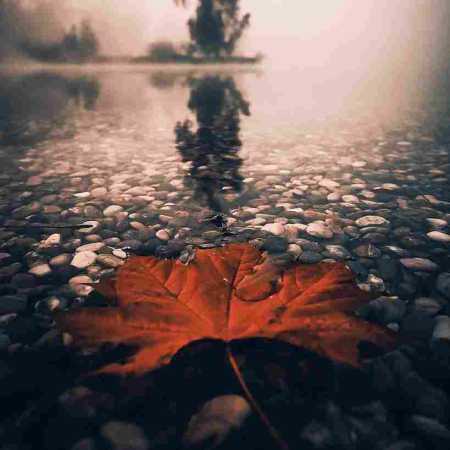 شادمهر عقیلی ( ورژن هوش مصنوعی ) تو همونی که میگفتی تو دنیا هیچکی مثل من پیدا نمیشه 