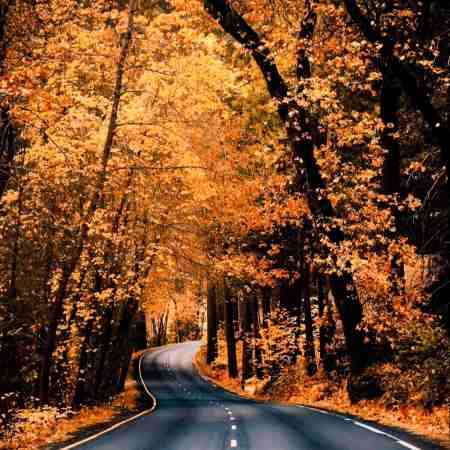 سوسن ( ورژن هوش مصنوعی ) جلوی چشام جونم رفت 