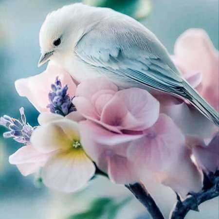 گوگوش ( ورژن هوش مصنوعی ) اد شیرین