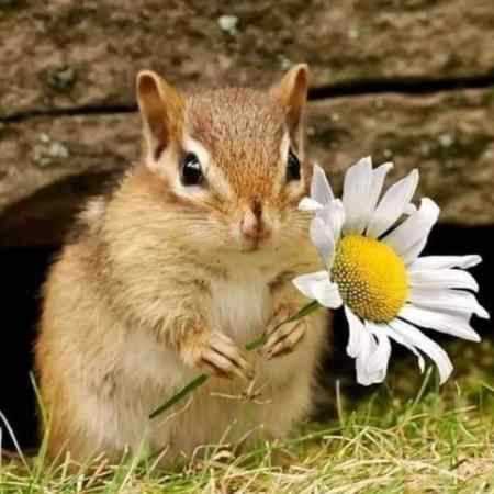 گوگوش ( ورژن هوش مصنوعی ) مسافرهای عاشق