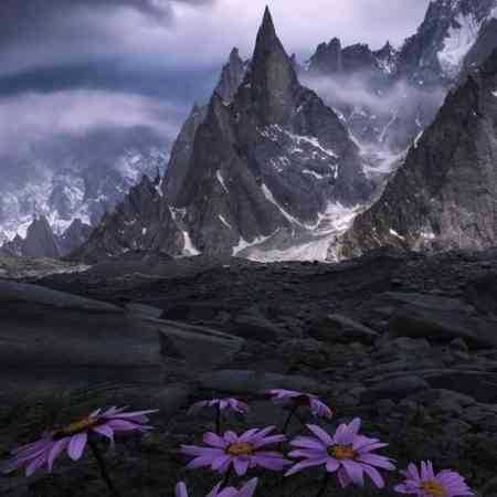 گوگوش ( ورژن هوش مصنوعی ) اون جهنمی که میگن این خونه است