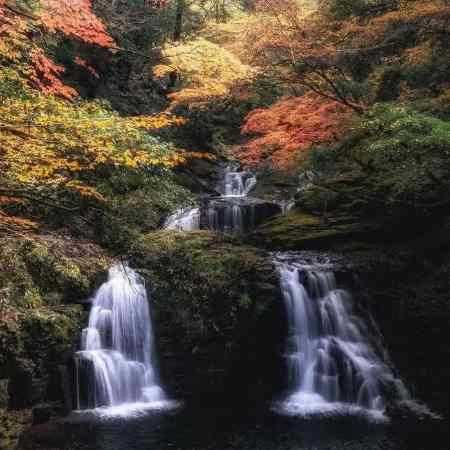 گوگوش ( ورژن هوش مصنوعی ) شوق این صداقت و حروم نکن