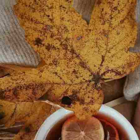 گوگوش ( ورژن هوش مصنوعی ) یعنی غزل شنیدن