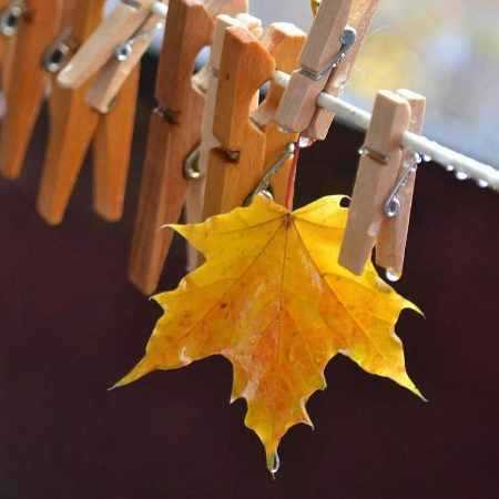 گوگوش ( ورژن هوش مصنوعی ) زمستونم