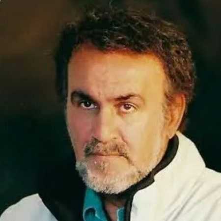 حبیب ( ورژن هوش مصنوعی ) در شب سرد نومید