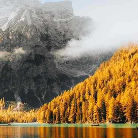 هایده و مهستی ( ورژن هوش مصنوعی ) نگاه منتظر به در 