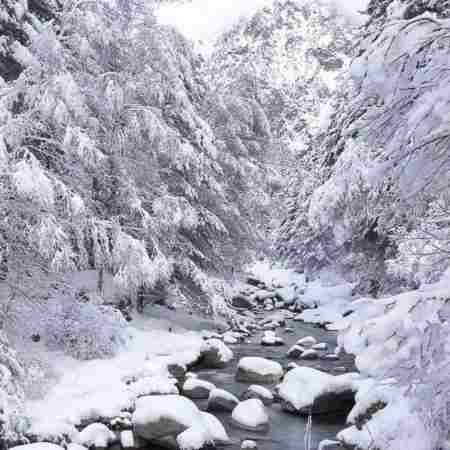 هایده ( ورژن هوش مصنوعی ) از خودم بیخبرم