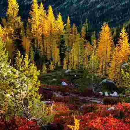 هایده ( ورژن هوش مصنوعی ) به هیچکی دل نبستم