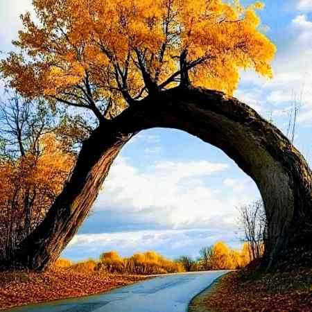 هایده ( ورژن هوش مصنوعی ) دیر کردی حسرتت هر لحظه بر بادم داد