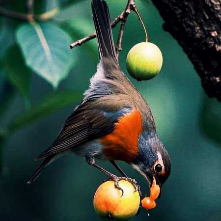 هایده ( ورژن هوش مصنوعی ) اشاره