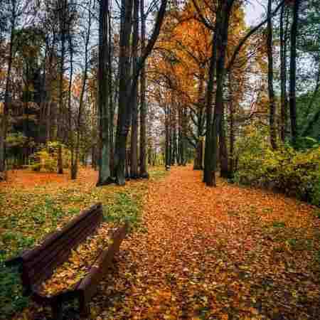 هایده ( ورژن هوش مصنوعی ) عشق تو خوابی بود و بس