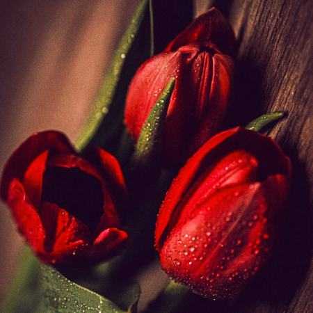 هایده ( ورژن هوش مصنوعی ) خدایا امشب