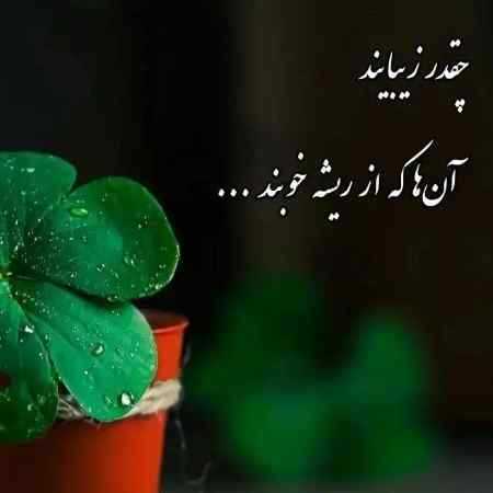 هایده ( ورژن هوش مصنوعی ) کجای دنیا