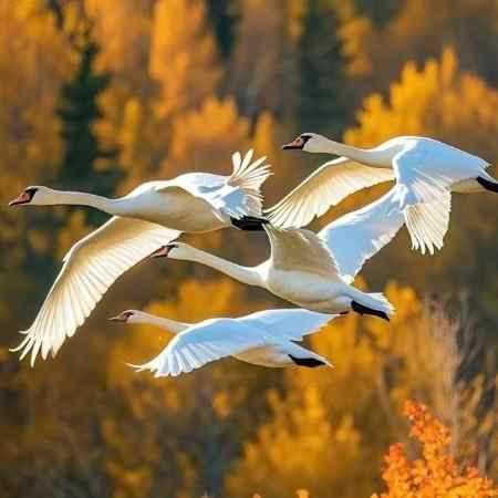 هایده ( ورژن هوش مصنوعی ) تو از حال یه عاشق