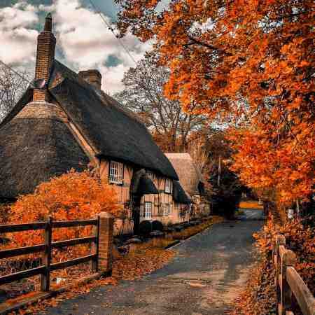 هایده ( ورژن هوش مصنوعی ) تو به کس گفته نتونی