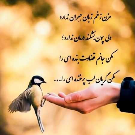 هایده ( ورژن هوش مصنوعی ) تو که ذات وفایی