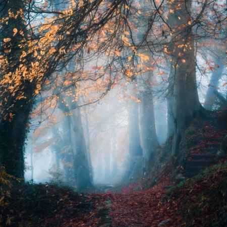 هایده ( ورژن هوش مصنوعی ) زندگی میگن برای زنده هاست