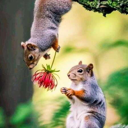 حمیرا ( ورژن هوش مصنوعی ) پله پله تا ملاقات