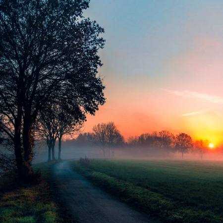 حمیرا ( ورژن هوش مصنوعی ) شاید که امشب
