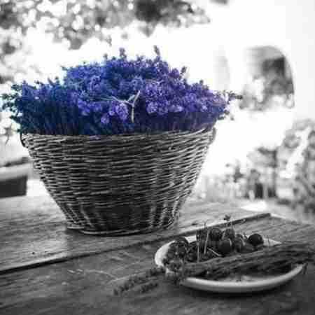 حمیرا ( ورژن هوش مصنوعی ) واست بمیرم