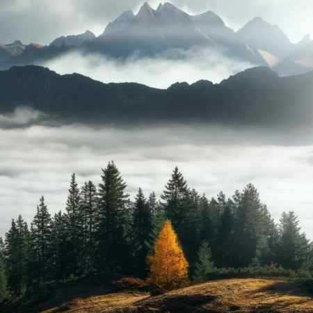 مهستی ( ورژن هوش مصنوعی ) از دست من فرار نکن