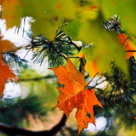 مهستی ( ورژن هوش مصنوعی ) عزیز من خدا کنه