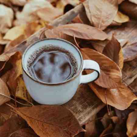 مهستی ( ورژن هوش مصنوعی ) بیا خونه