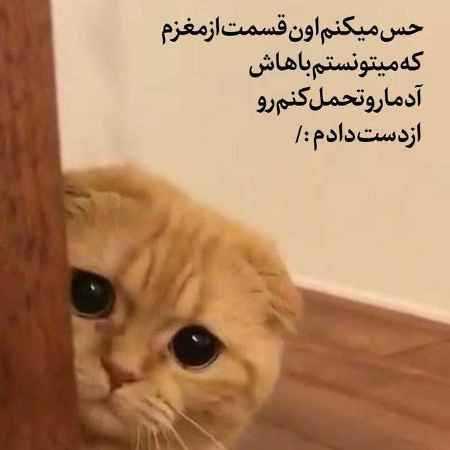 مهستی ( ورژن هوش مصنوعی ) ای وای ای وای دل بی هم زبون شد 