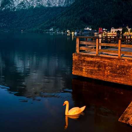 مهستی ( ورژن هوش مصنوعی ) همون روزا واست رفت این دلم