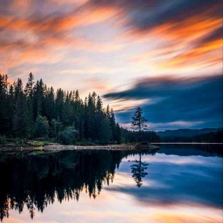 مهستی ( ورژن هوش مصنوعی ) خانه تکانی