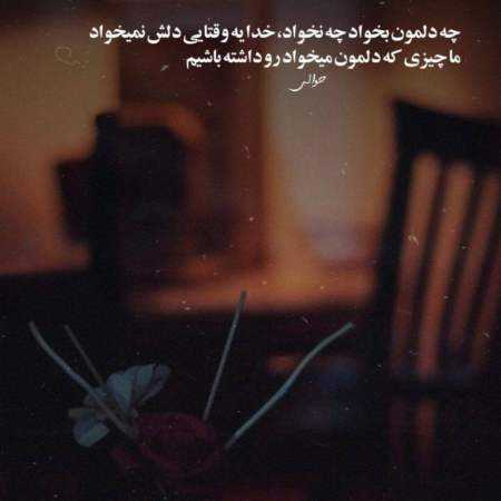 مهستی ( ورژن هوش مصنوعی ) مست از می عشق توام