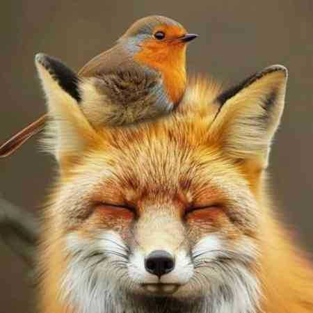 شهره ( ورژن هوش مصنوعی ) تا دنیا دنیا باشه