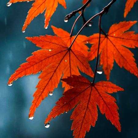 سیاه کردآسمون ابی منو هوش مصنوعی 